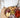 tapasschaal hout enjoy naturel | naturel