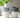 mok L tea lover | white / blue