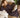 jogger jurk met rits | dark choco