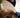 serveerplank hout together is my favorite place | naturel